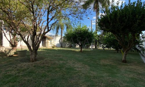 IMG-20251118-WA0160-1