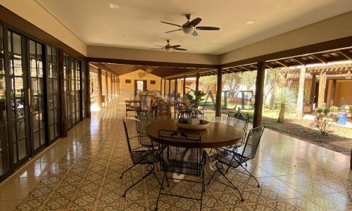 IMG_0979