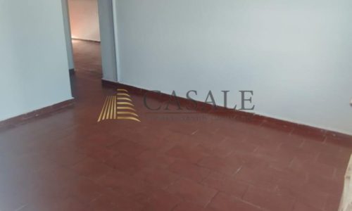 WhatsApp-Image-2026-03-24-at-16.56.23-1